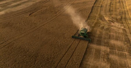 O Dilema da Cevada: Produção cresce no Brasil, mas jovens abandonam o consumo